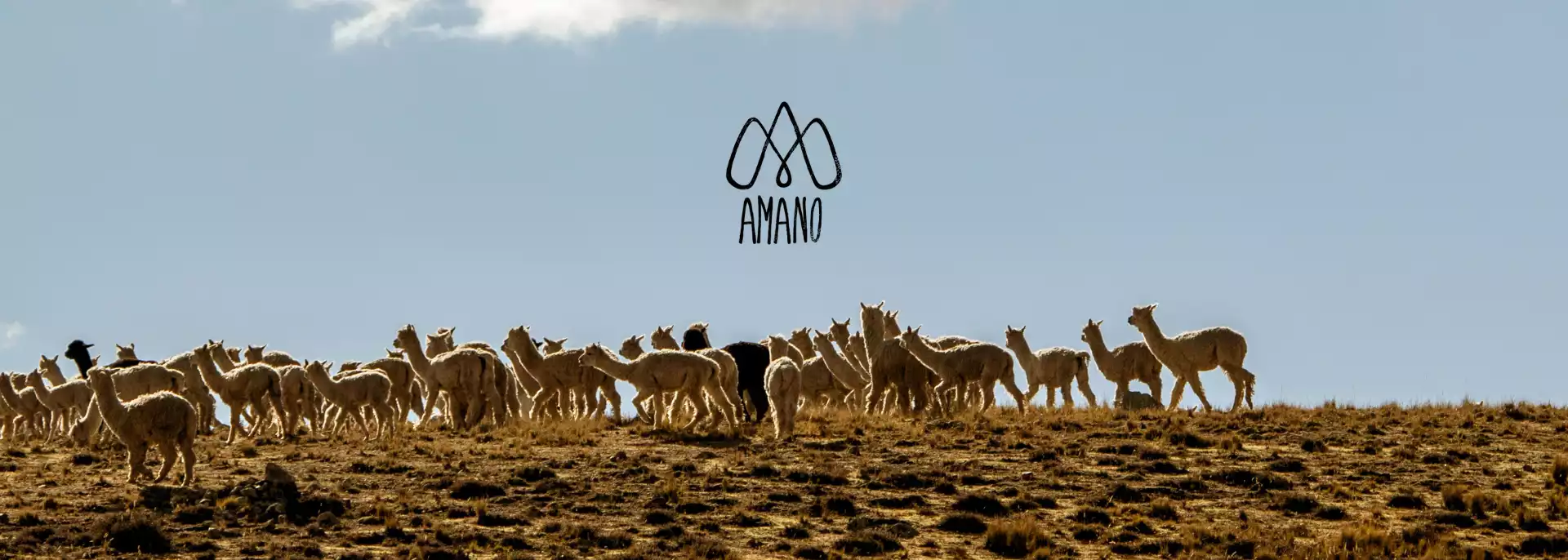 AMANO_LOGO_HEADER