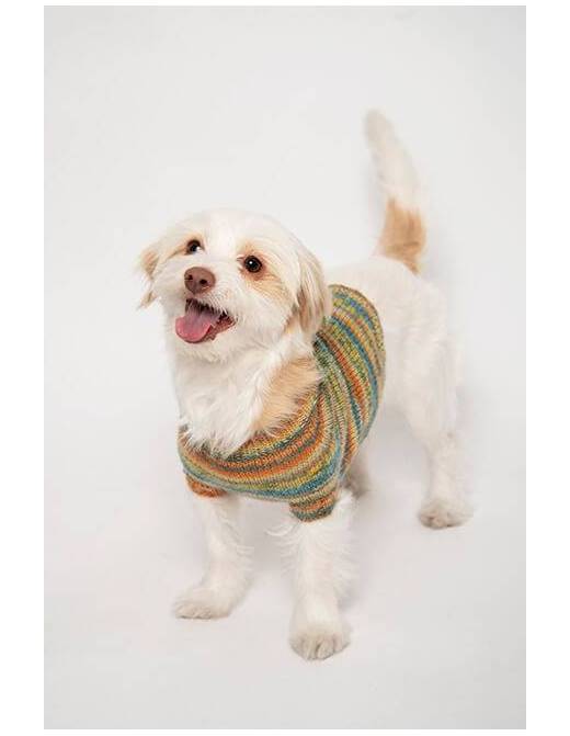 Gala Dog & Cat Sweater