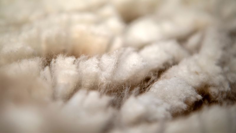¿Por qué la fibra de alpaca es una de las favoritas para los tejedores?