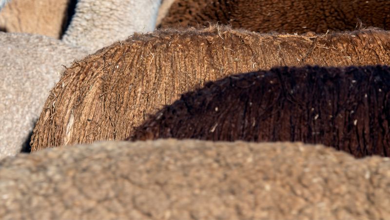 ¿Por qué la fibra de alpaca es una de las favoritas para los tejedores?